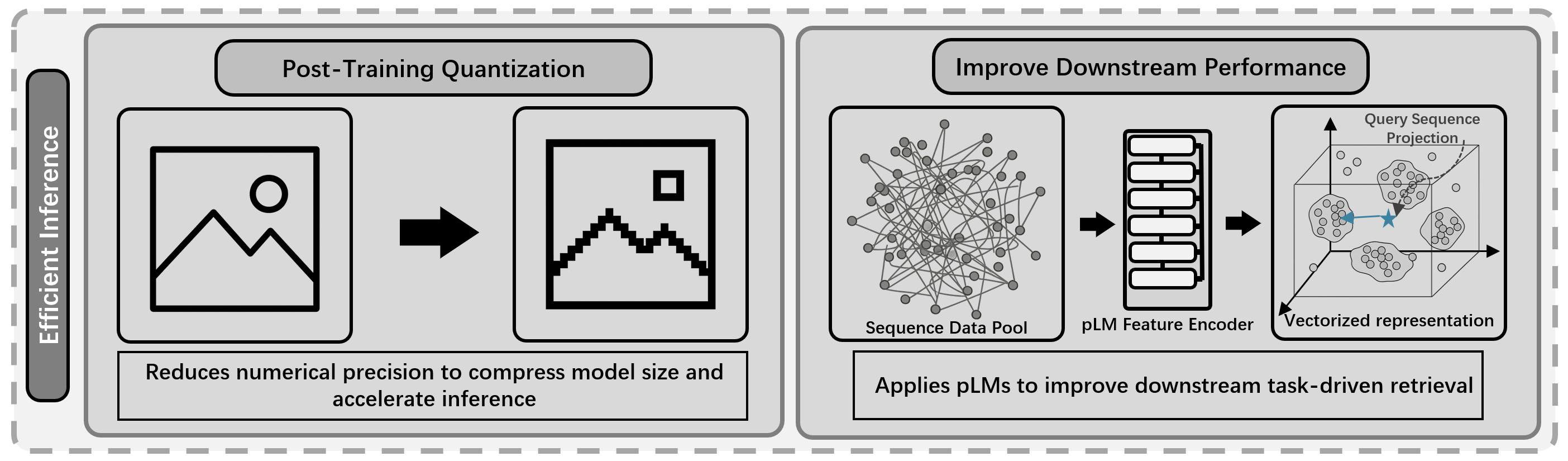 Quantization and embedding retrieval strategies for efficient protein model inference