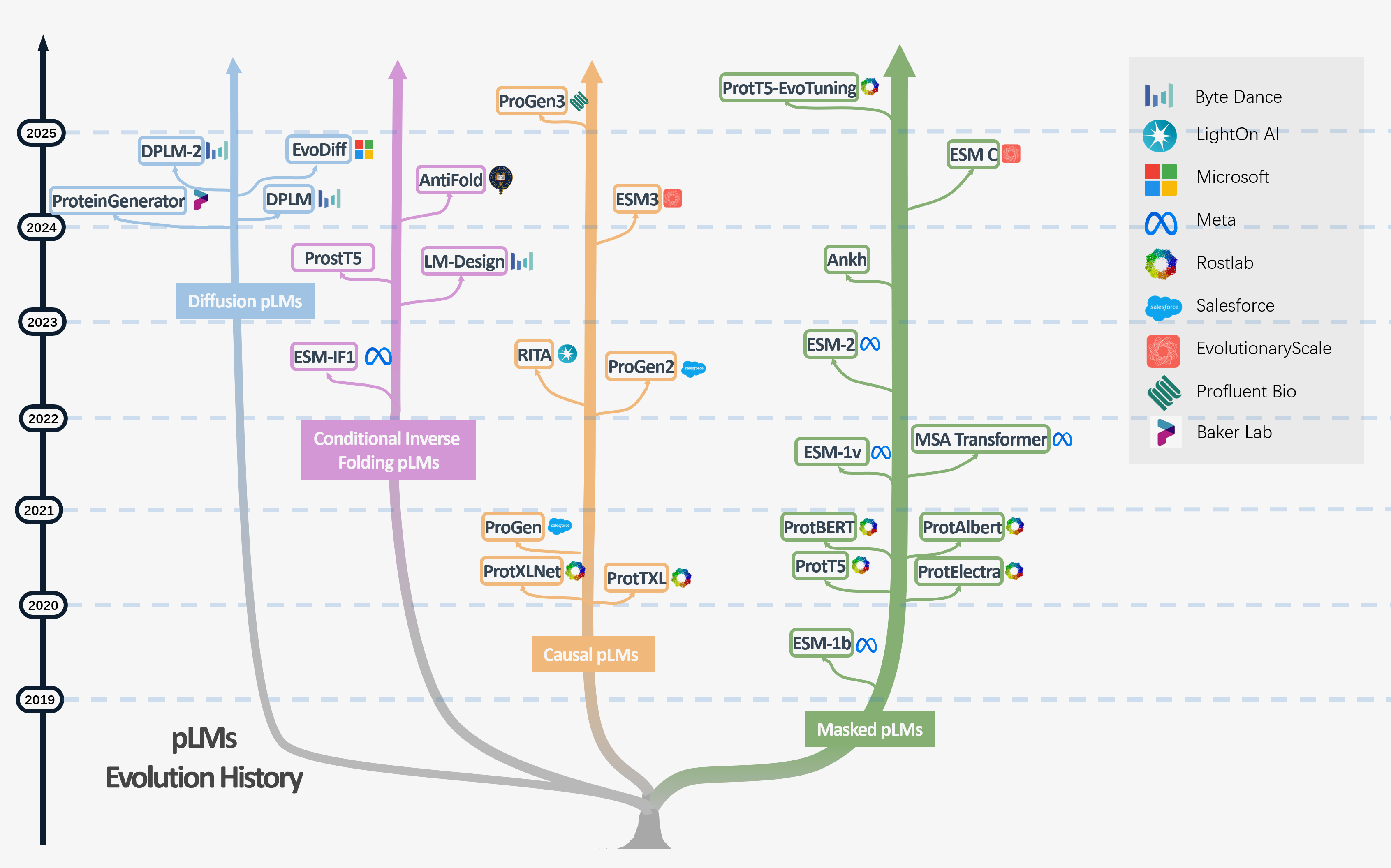 Evolution tree of protein language model families from 2019 to 2025